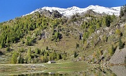 66 Lago del Prato, panorama verso il Masoni...